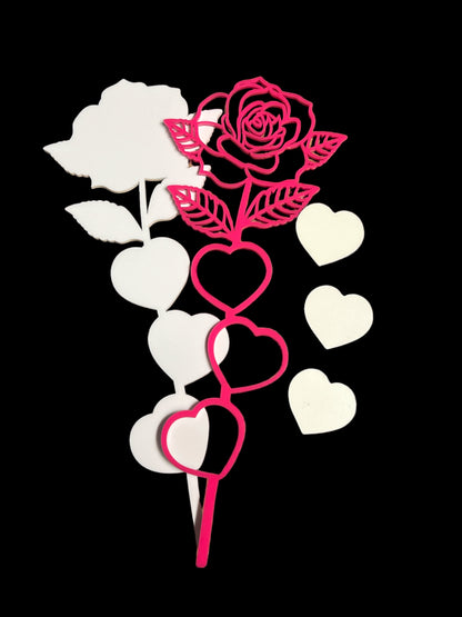 Valentine’s Day Hot Pink Rose 🌹