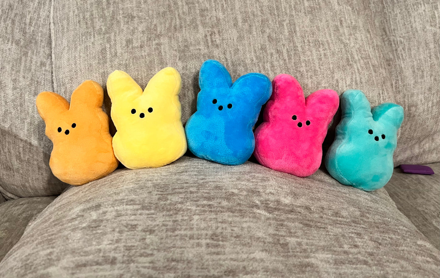 Small Bunny